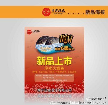 李芹活鱼 产品介绍广告设计